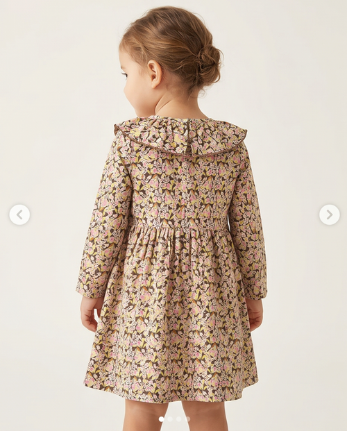 Girls Baby Dress